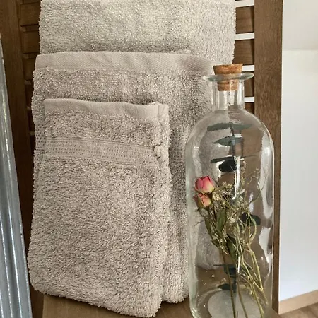 Chez Irene * Villiers-aux-Chenes