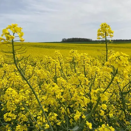 Chez Iréne Hébergement de vacances Villiers-aux-Chenes