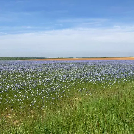 Chez Irene 펜션