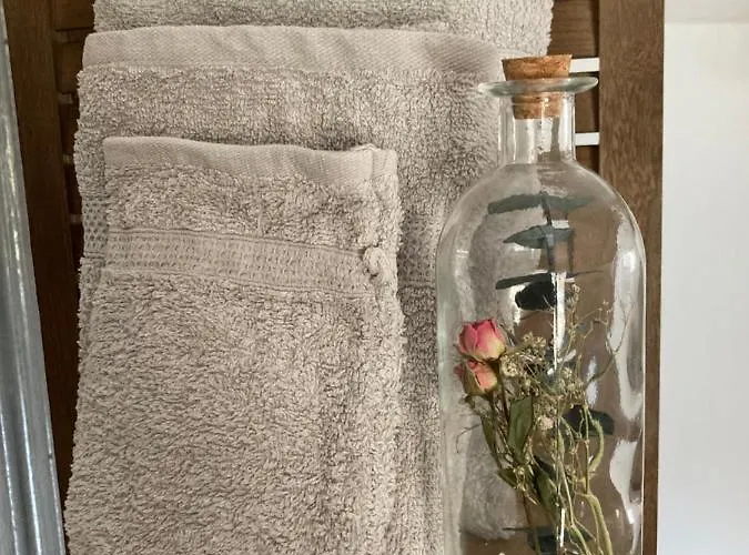 Chez Irene * Villiers-aux-Chenes